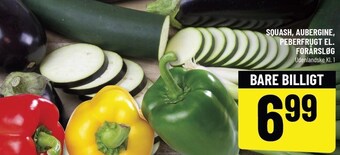 Løvbjerg Squash, aubergine, peberfrugt el. forårsløg tilbud