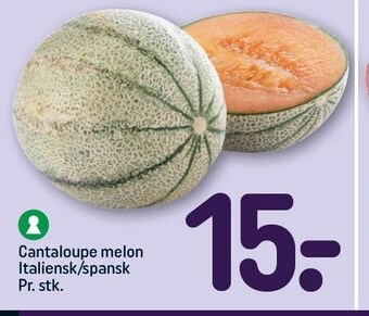 Cantaloupe melon