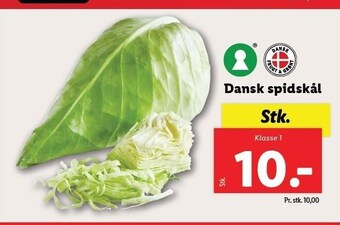 Lidl Dansk spidskål tilbud