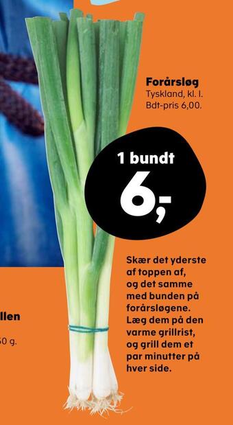 SuperBrugsen Forårsløg tilbud