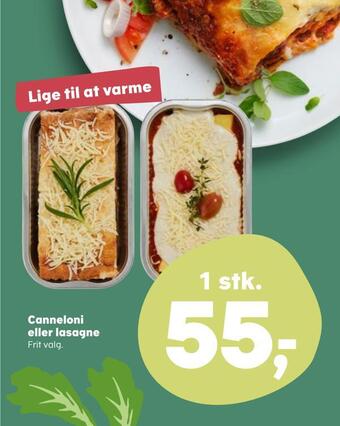 SuperBrugsen Canneloni eller lasagne tilbud
