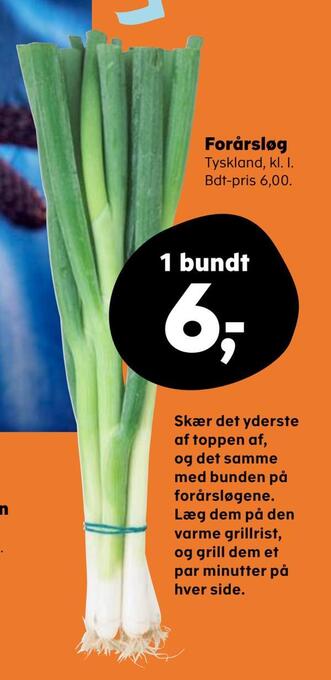 Kvickly Forårsløg tilbud