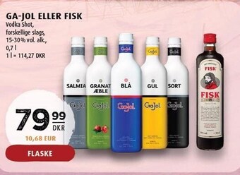 Scandinavian Park Ga-jol eller fisk tilbud