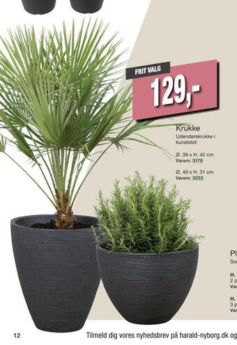 Harald Nyborg Krukke tilbud
