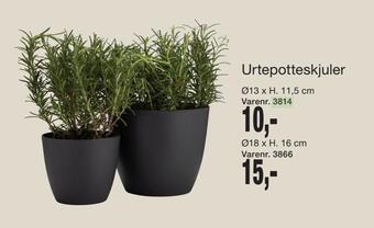 Urtepotteskjuler