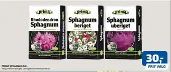 Prima spagnum