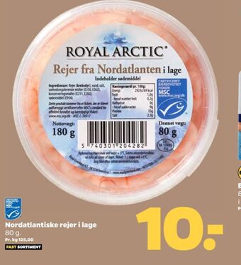 Royal arctic rejer
