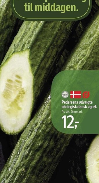 Føtex Pedersens udvalgte økologisk danskagurk tilbud