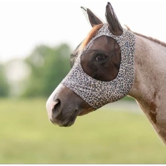 Cheetah comfor-fit fluemaske