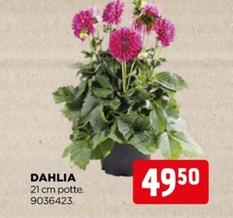 jem & fix Ukendt planter tilbud