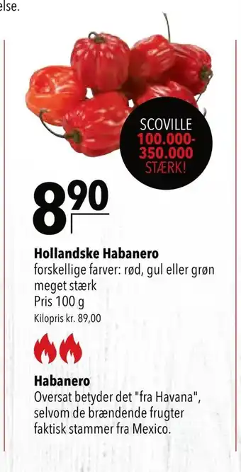 Citti Hollandske habanero tilbud