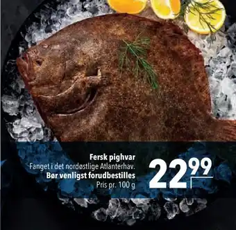 Fersk pighvar