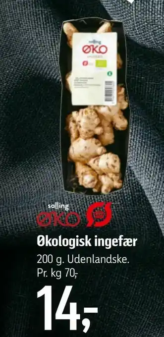 Føtex Økologisk ingefær tilbud