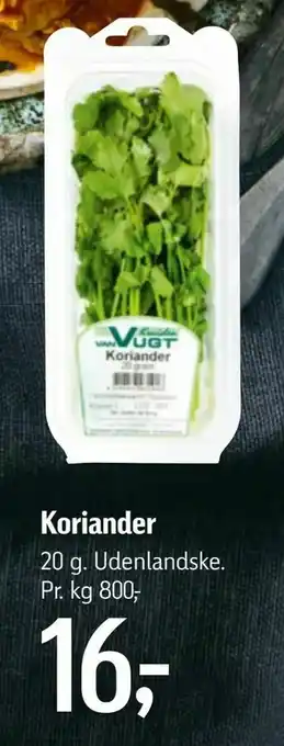 Koriander