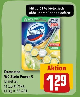 Domestos WC Stein Power 5