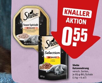 REWE DE Sheba Katzennahrung tilbud