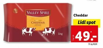Cheddar