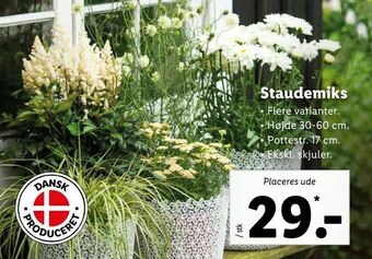 Staudemiks
