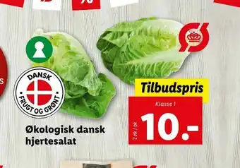 Let-Køb Økologisk dansk hjertesalat tilbud