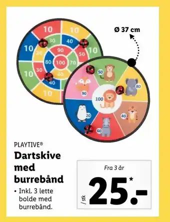 Dartskive med burrebånd