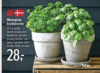 Føtex Økologiske krydderurter tilbud