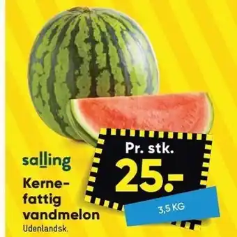 Salling kernefattig vandmelon