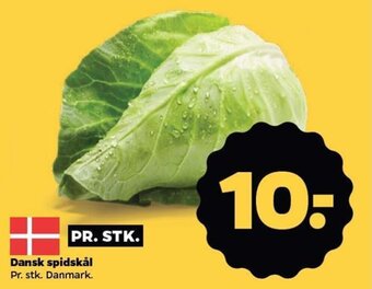 Netto Dansk spidskål tilbud