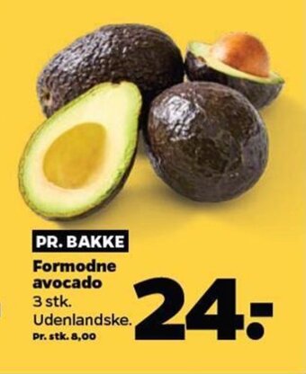 Netto Formodne avocado tilbud
