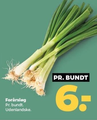 Netto Forårsløg tilbud