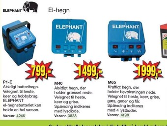 Harald Nyborg Elephant el-hegn tilbud