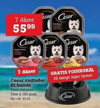 Cesar vådfoder til hunde