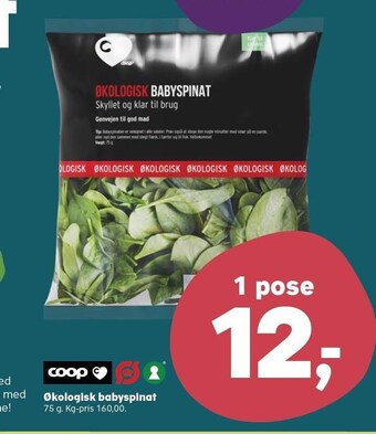 Kvickly Økologisk babyspinat tilbud