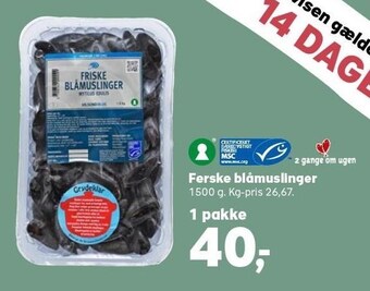 Ferske blåmuslinger