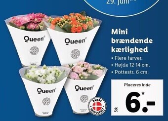 Mini brændende kærlighed