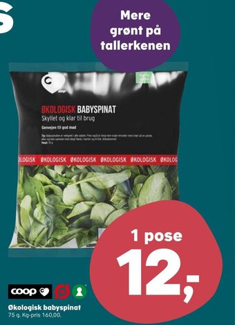 SuperBrugsen Økologisk babyspinat tilbud