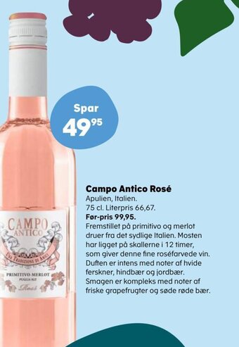SuperBrugsen Campo Antico Rosé tilbud