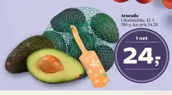 Avocado