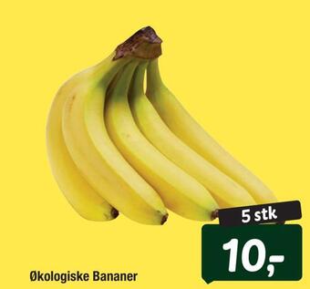 Økologiske bananer