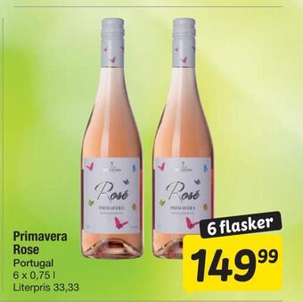 Primavera rose