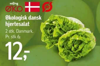 Føtex Salling øko hjertesalat tilbud