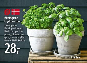Føtex Ukendt planter tilbud