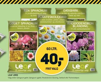 XL-BYG Leaf spagnum tilbud