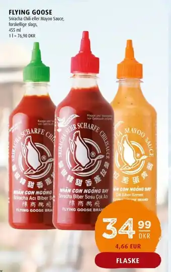 Scandinavian Park Flying goose sauce flydende tilbud