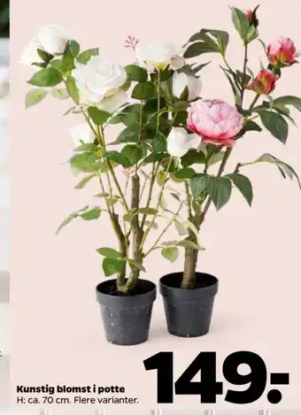 Netto Ukendt kunstige blomster tilbud