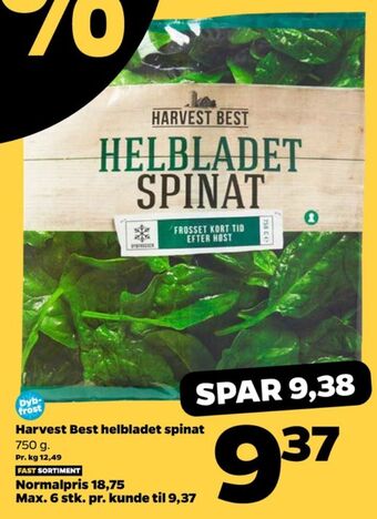 Netto Harvest best grøntsager tilbud