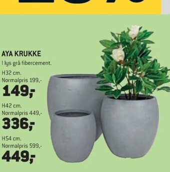 XL-BYG AYA KRUKKE tilbud