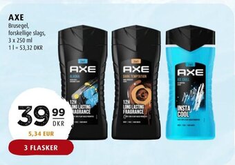 Scandinavian Park AXE Brusegel, forskellige slags, tilbud