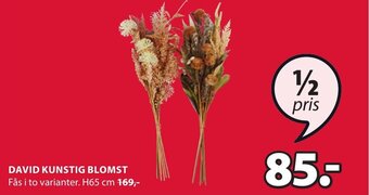 JYSK DAVID KUNSTIG BLOMST tilbud
