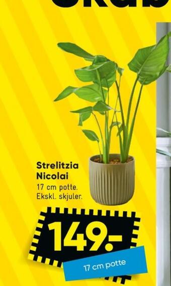 Bilka Ukendt planter tilbud