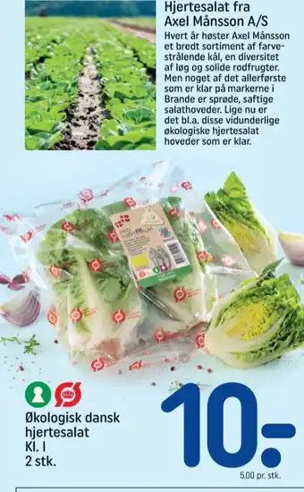 Axel månsson hjertesalat